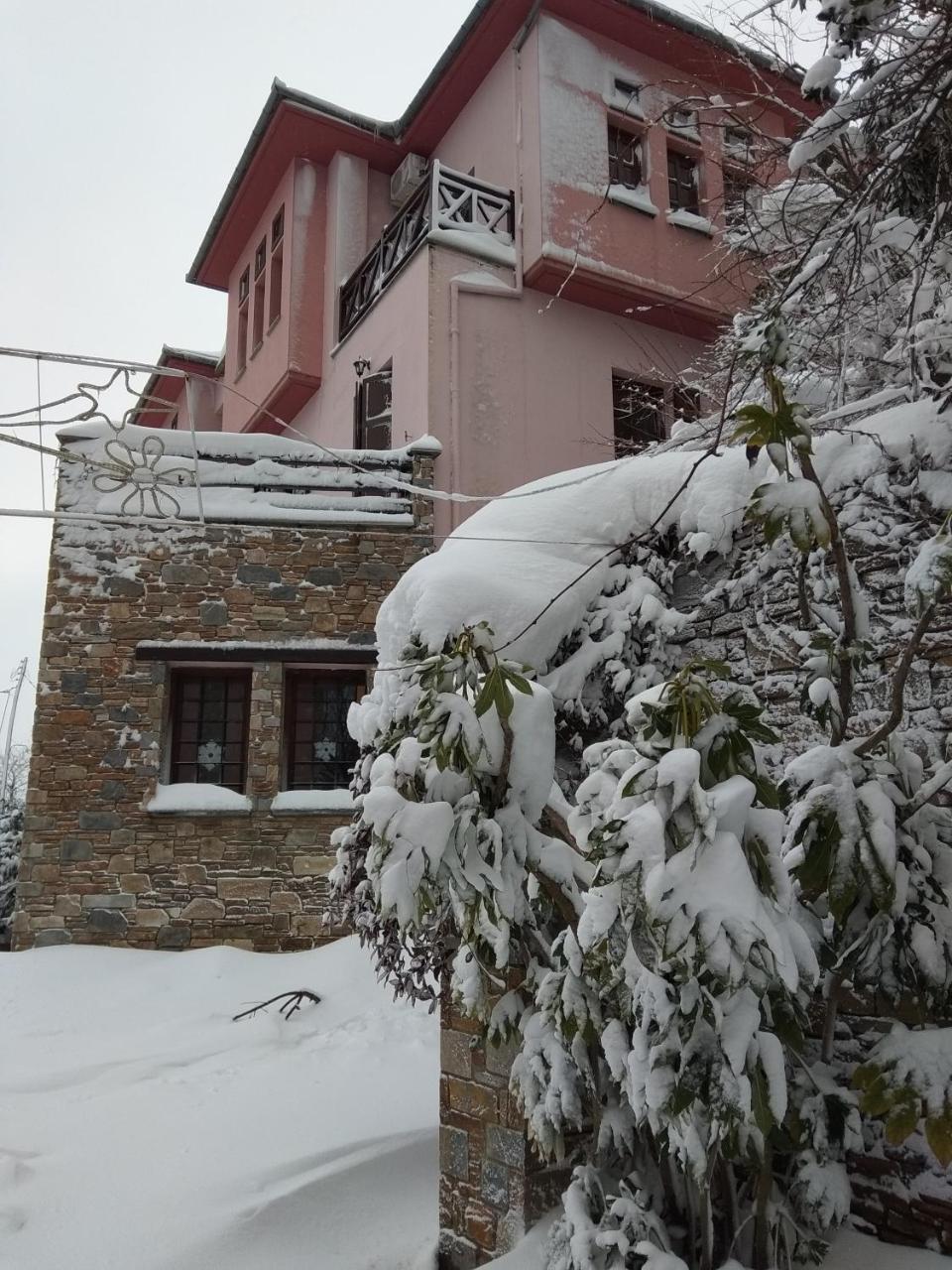Guesthouse Iris Tsagarada Luaran gambar
